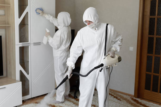 Best Bathroom Mold Remediation in Central City, IL